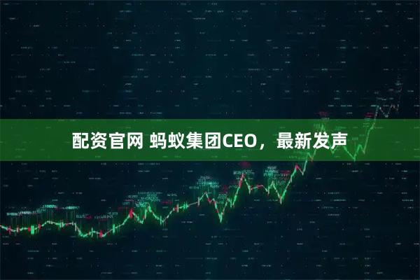 配资官网 蚂蚁集团CEO，最新发声